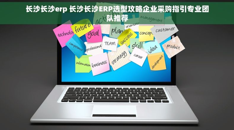 长沙长沙erp 长沙长沙ERP选型攻略企业采购指引专业团队推荐
