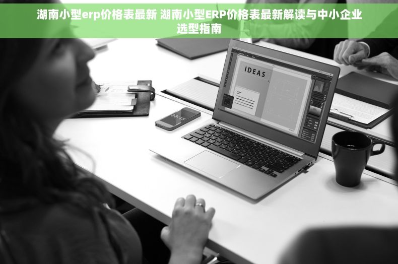 湖南小型erp价格表最新 湖南小型ERP价格表最新解读与中小企业选型指南