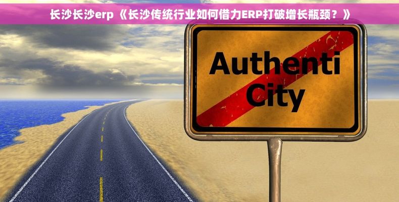 长沙长沙erp 《长沙传统行业如何借力ERP打破增长瓶颈？》