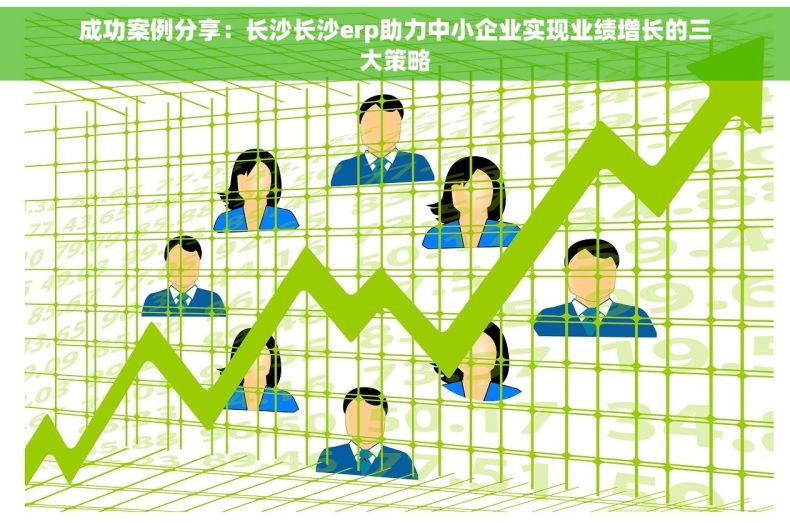成功案例分享：长沙长沙erp助力中小企业实现业绩增长的三大策略