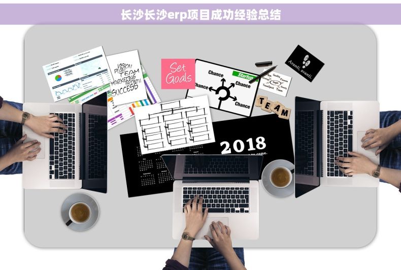 长沙长沙erp项目成功经验总结