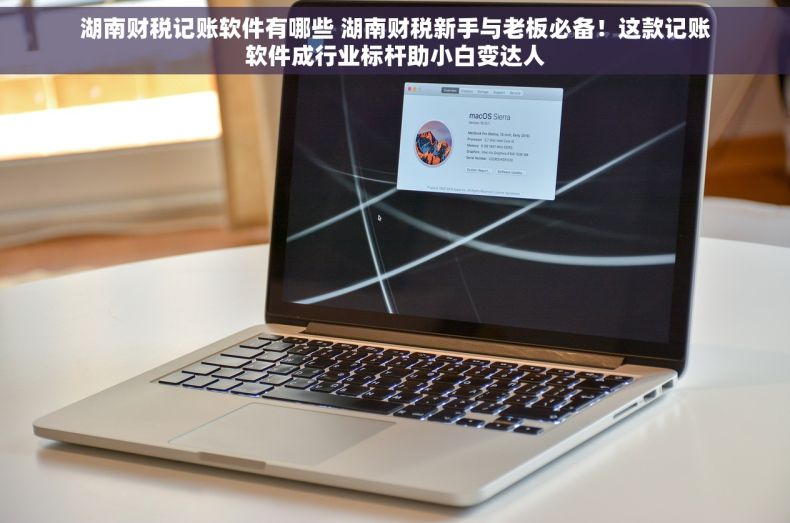 湖南财税记账软件有哪些 湖南财税新手与老板必备！这款记账软件成行业标杆助小白变达人