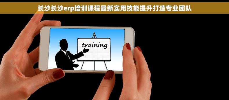 长沙长沙erp培训课程最新实用技能提升打造专业团队