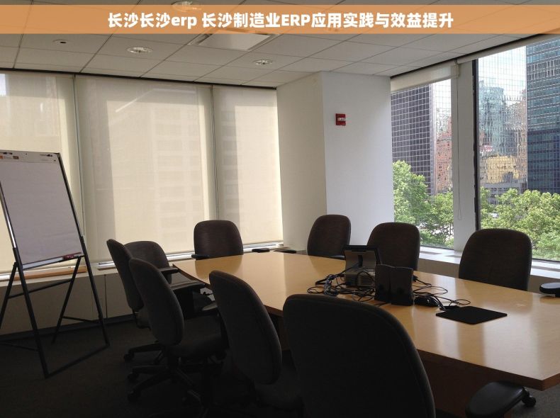 长沙长沙erp 长沙制造业ERP应用实践与效益提升