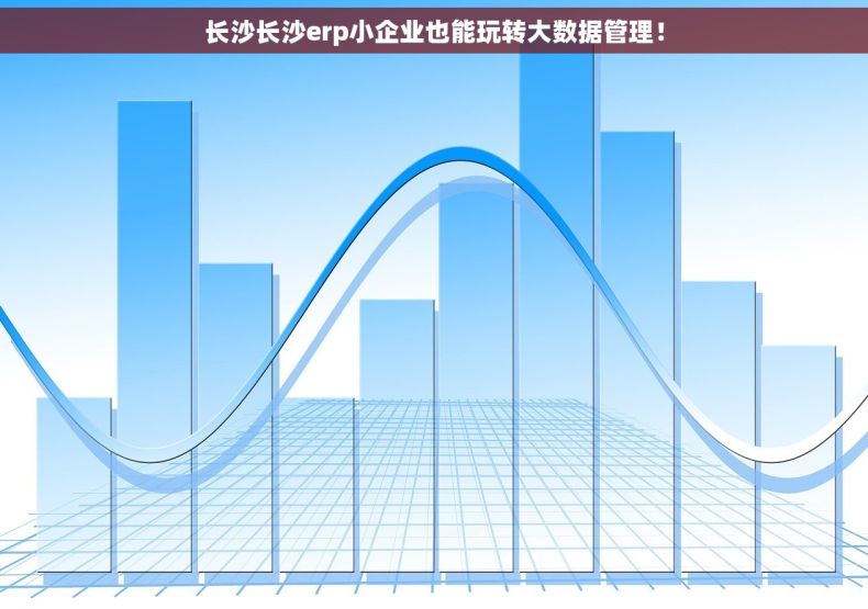 长沙长沙erp小企业也能玩转大数据管理！