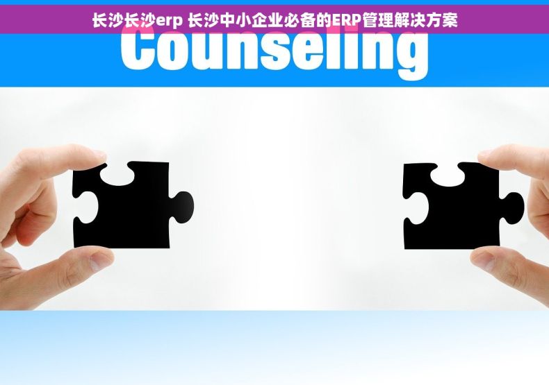 长沙长沙erp 长沙中小企业必备的ERP管理解决方案