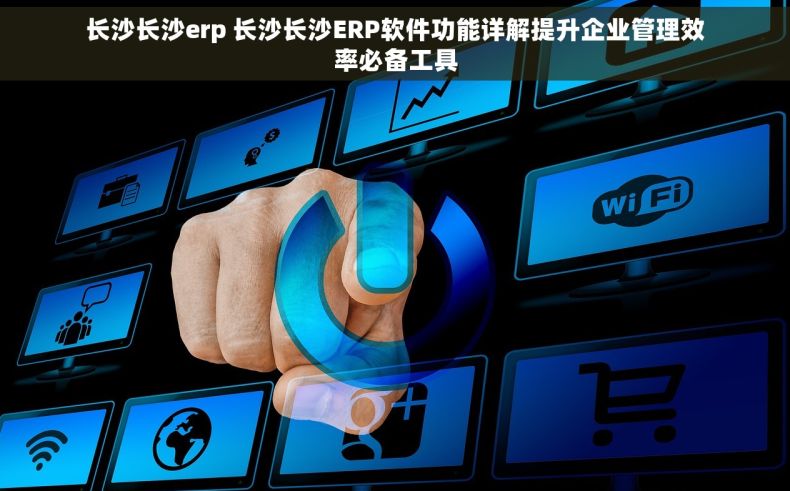 长沙长沙erp 长沙长沙ERP软件功能详解提升企业管理效率必备工具