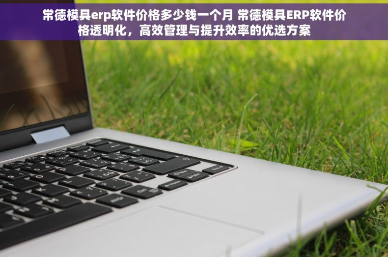 常德模具erp软件价格多少钱一个月 常德模具ERP软件价格透明化，高效管理与提升效率的优选方案
