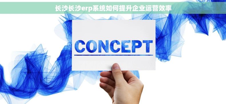 长沙长沙erp系统如何提升企业运营效率