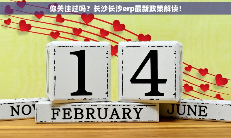 你关注过吗？长沙长沙erp最新政策解读！