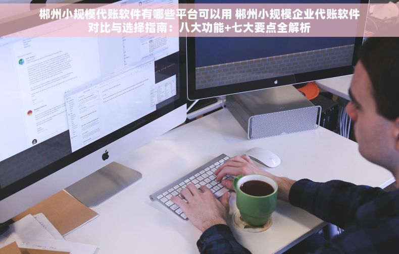 郴州小规模代账软件有哪些平台可以用 郴州小规模企业代账软件对比与选择指南：八大功能+七大要点全解析