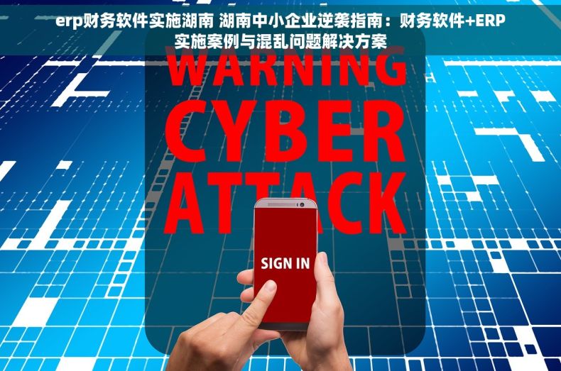 erp财务软件实施湖南 湖南中小企业逆袭指南：财务软件+ERP实施案例与混乱问题解决方案