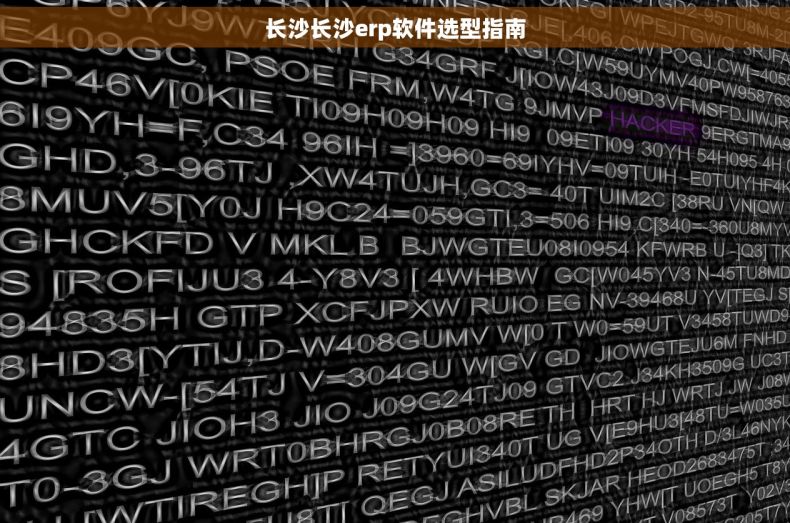 长沙长沙erp软件选型指南