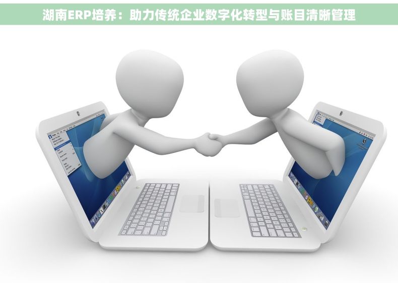 湖南ERP培养：助力传统企业数字化转型与账目清晰管理