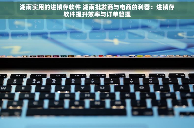 湖南实用的进销存软件 湖南批发商与电商的利器：进销存软件提升效率与订单管理