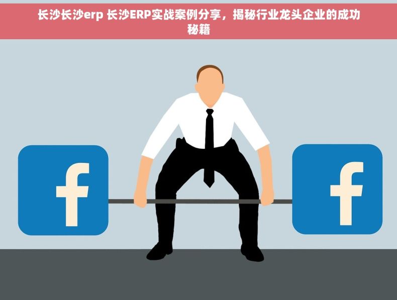长沙长沙erp 长沙ERP实战案例分享，揭秘行业龙头企业的成功秘籍