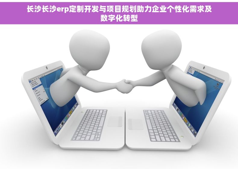 长沙长沙erp定制开发与项目规划助力企业个性化需求及数字化转型