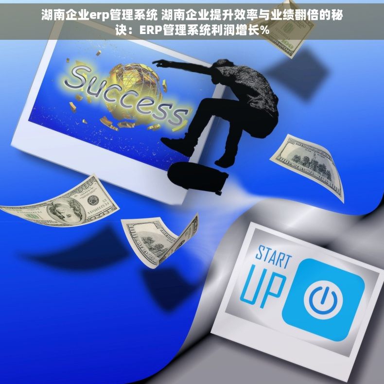 湖南企业erp管理系统 湖南企业提升效率与业绩翻倍的秘诀：ERP管理系统利润增长%