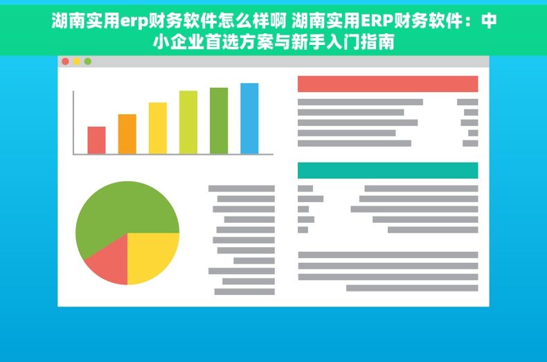 湖南实用erp财务软件怎么样啊 湖南实用ERP财务软件：中小企业首选方案与新手入门指南
