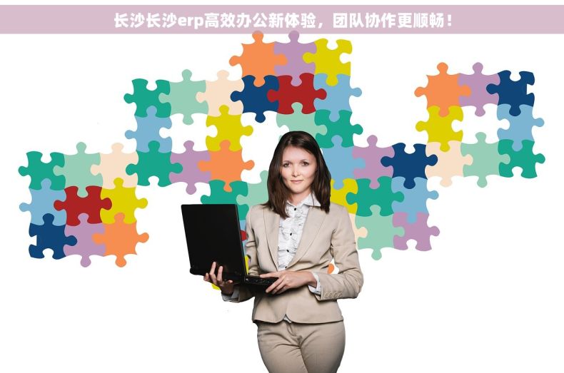 长沙长沙erp高效办公新体验，团队协作更顺畅！