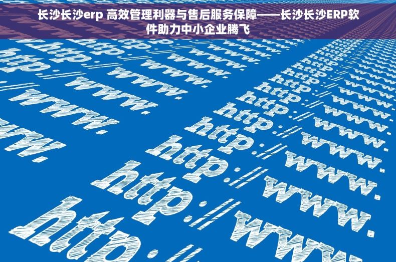 长沙长沙erp 高效管理利器与售后服务保障——长沙长沙ERP软件助力中小企业腾飞
