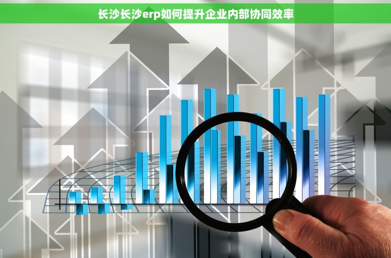 长沙长沙erp如何提升企业内部协同效率