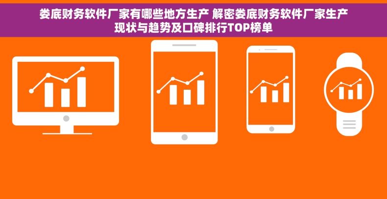 娄底财务软件厂家有哪些地方生产 解密娄底财务软件厂家生产现状与趋势及口碑排行TOP榜单