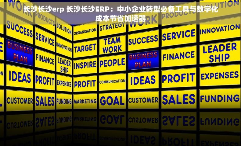 长沙长沙erp 长沙长沙ERP：中小企业转型必备工具与数字化成本节省加速器