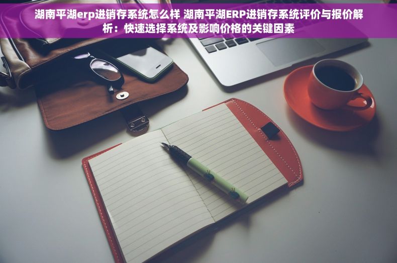 湖南平湖erp进销存系统怎么样 湖南平湖ERP进销存系统评价与报价解析：快速选择系统及影响价格的关键因素