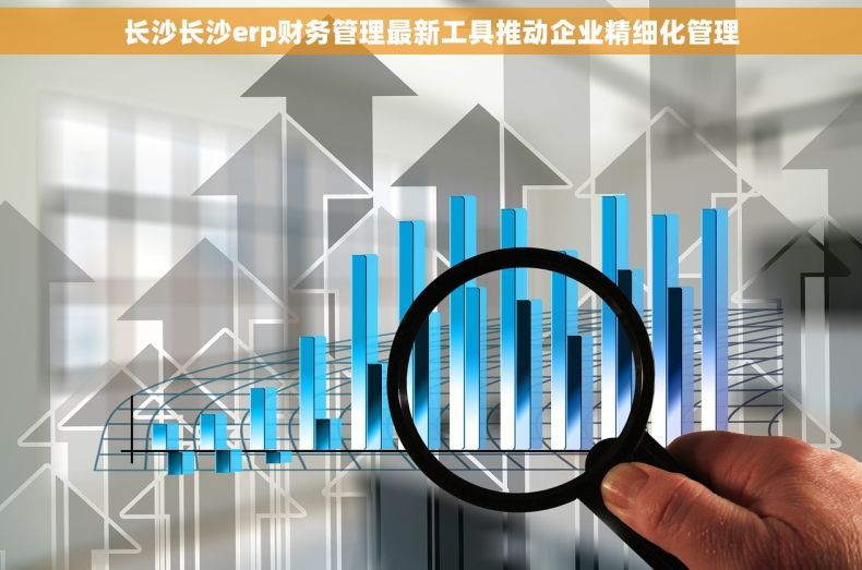 长沙长沙erp财务管理最新工具推动企业精细化管理