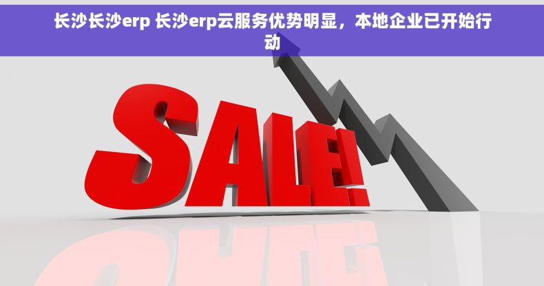 长沙长沙erp 长沙erp云服务优势明显，本地企业已开始行动