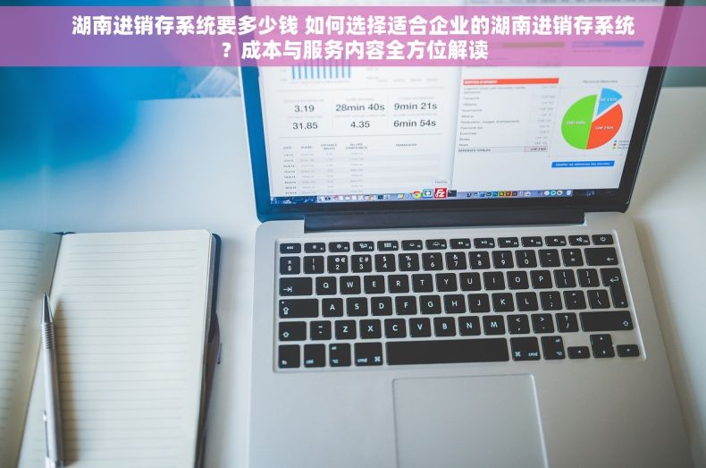 湖南进销存系统要多少钱 如何选择适合企业的湖南进销存系统？成本与服务内容全方位解读