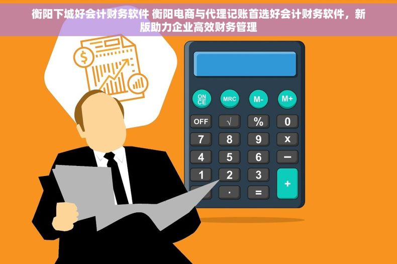 衡阳下城好会计财务软件 衡阳电商与代理记账首选好会计财务软件，新版助力企业高效财务管理