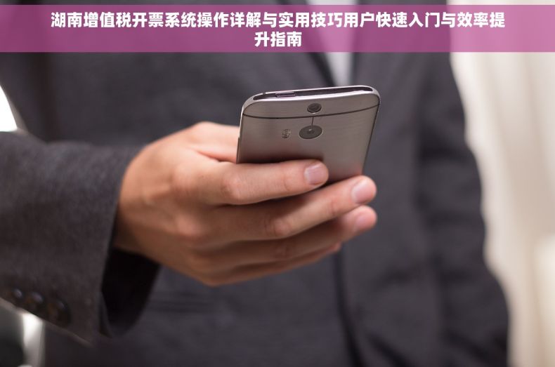 湖南增值税开票系统操作详解与实用技巧用户快速入门与效率提升指南