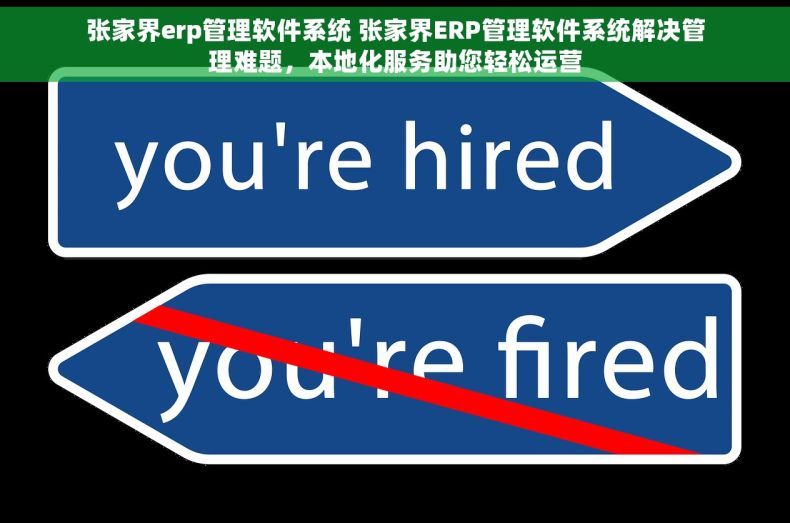 张家界erp管理软件系统 张家界ERP管理软件系统解决管理难题，本地化服务助您轻松运营