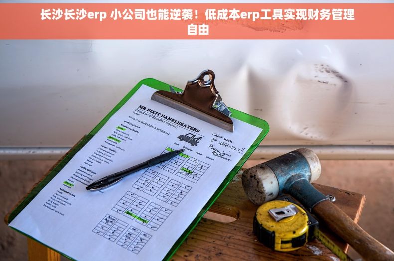 长沙长沙erp 小公司也能逆袭！低成本erp工具实现财务管理自由