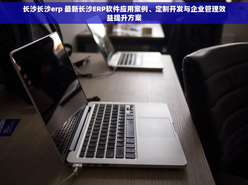 长沙长沙erp 最新长沙ERP软件应用案例、定制开发与企业管理效益提升方案