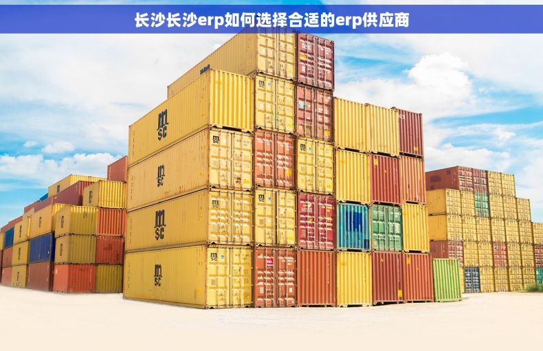 长沙长沙erp如何选择合适的erp供应商