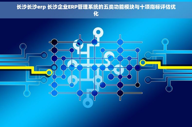 长沙长沙erp 长沙企业ERP管理系统的五类功能模块与十项指标评估优化