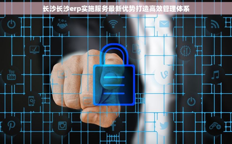 长沙长沙erp实施服务最新优势打造高效管理体系