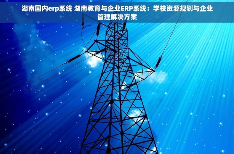 湖南国内erp系统 湖南教育与企业ERP系统：学校资源规划与企业管理解决方案