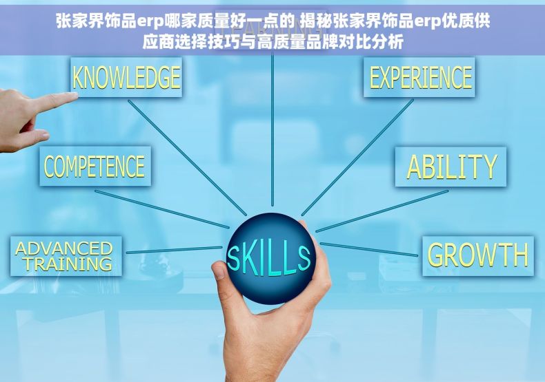 张家界饰品erp哪家质量好一点的 揭秘张家界饰品erp优质供应商选择技巧与高质量品牌对比分析