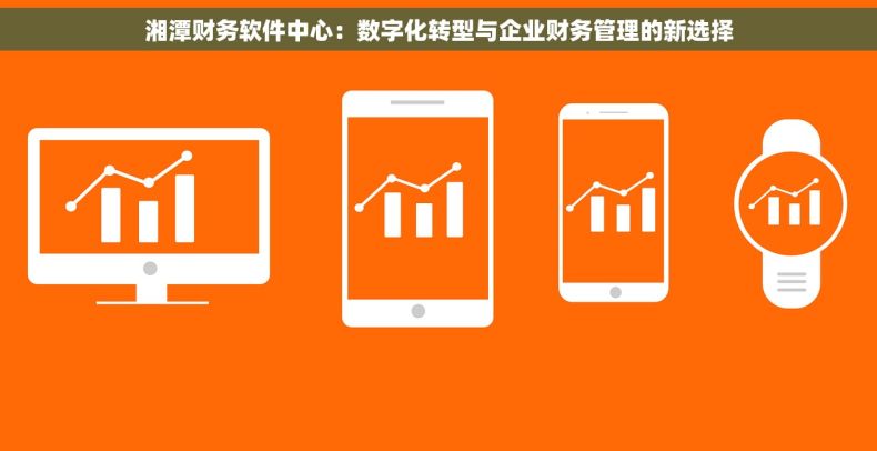 湘潭财务软件中心：数字化转型与企业财务管理的新选择