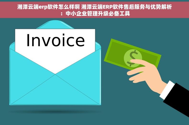 湘潭云端erp软件怎么样啊 湘潭云端ERP软件售后服务与优势解析：中小企业管理升级必备工具