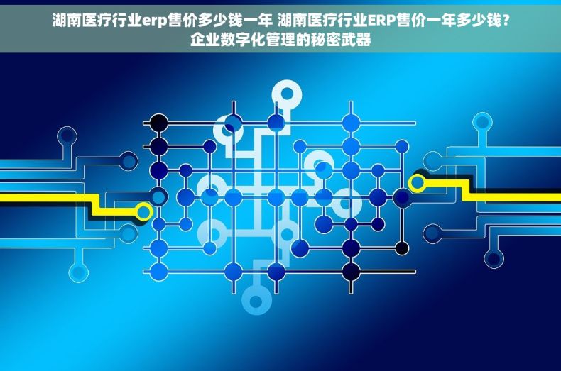 湖南医疗行业erp售价多少钱一年 湖南医疗行业ERP售价一年多少钱？企业数字化管理的秘密武器