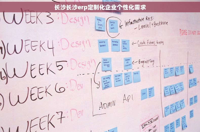 长沙长沙erp定制化企业个性化需求