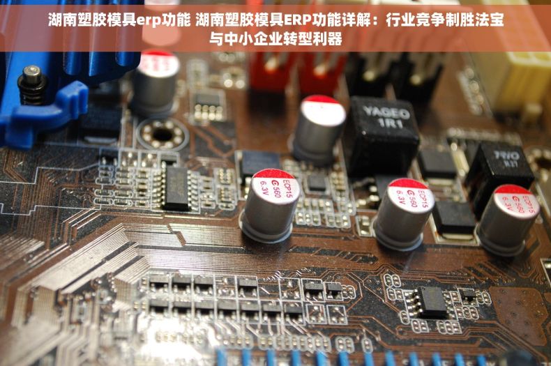 湖南塑胶模具erp功能 湖南塑胶模具ERP功能详解：行业竞争制胜法宝与中小企业转型利器