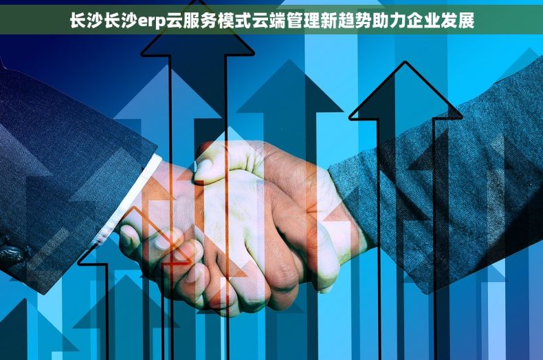长沙长沙erp云服务模式云端管理新趋势助力企业发展