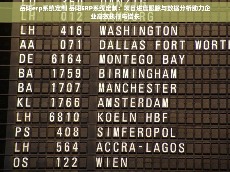 岳阳erp系统定制 岳阳ERP系统定制：项目进度跟踪与数据分析助力企业高效执行与增长
