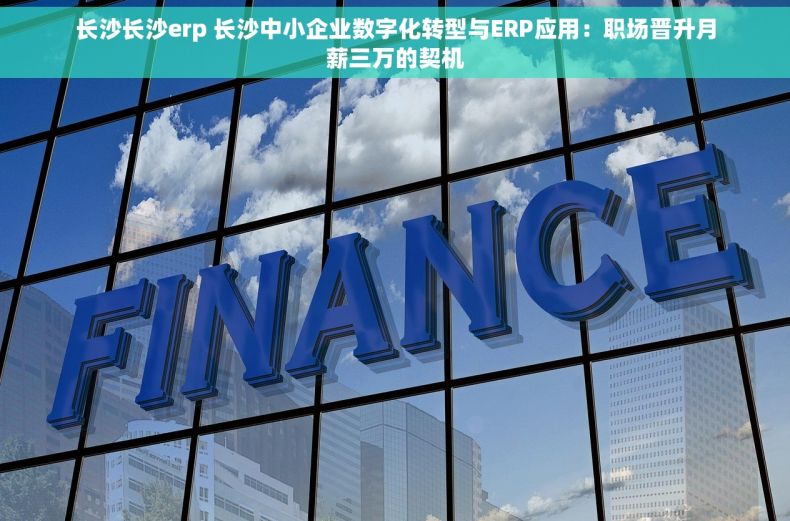 长沙长沙erp 长沙中小企业数字化转型与ERP应用：职场晋升月薪三万的契机